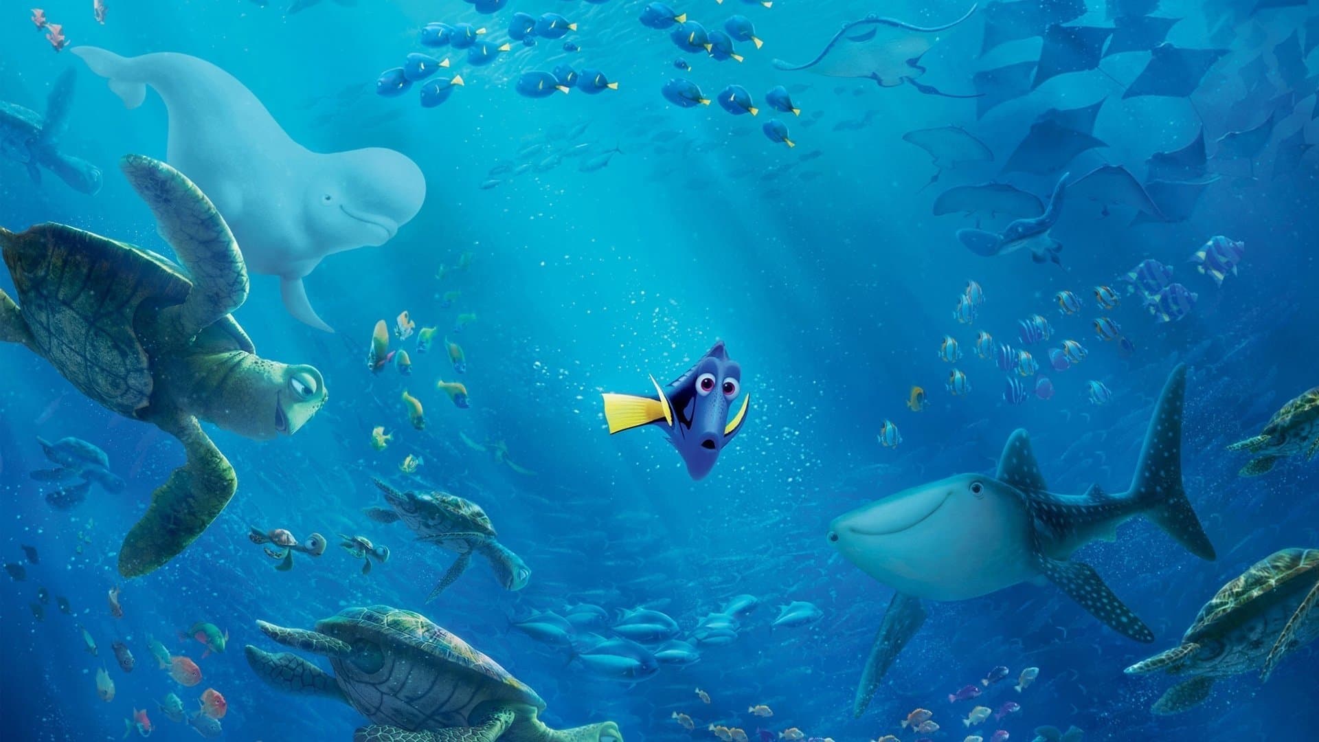 Gdzie jest Dory