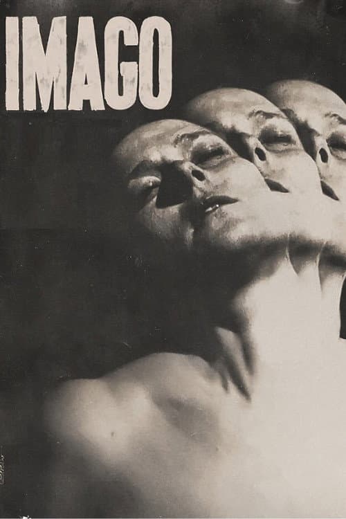 Plakat filmu: Imago