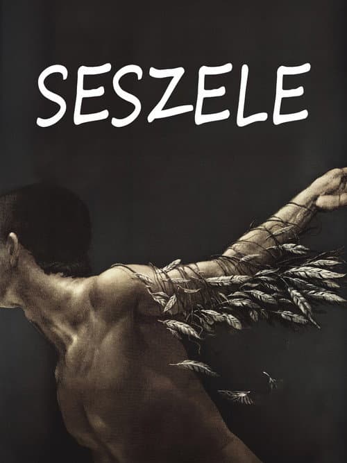 Plakat filmu: Seszele