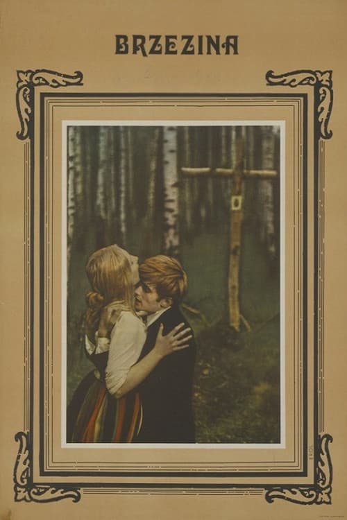 Plakat filmu: Brzezina