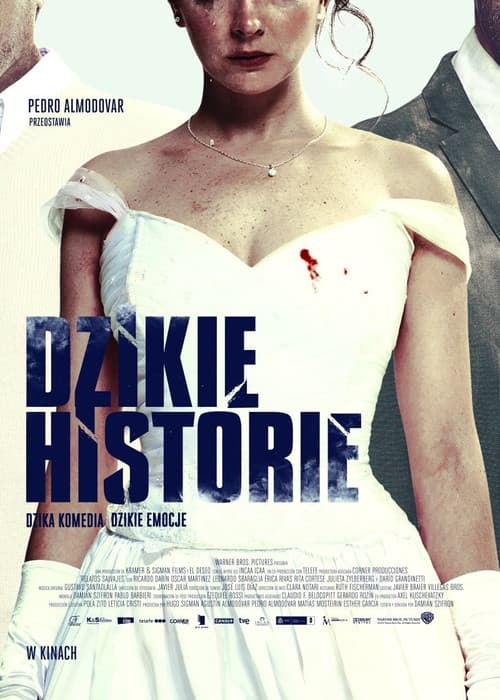 Plakat filmu: Dzikie historie