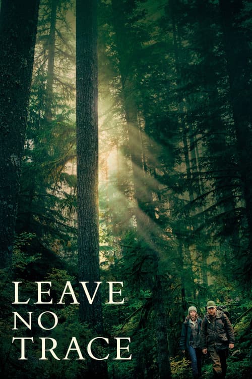 Plakat filmu: Zatrzyj ślady