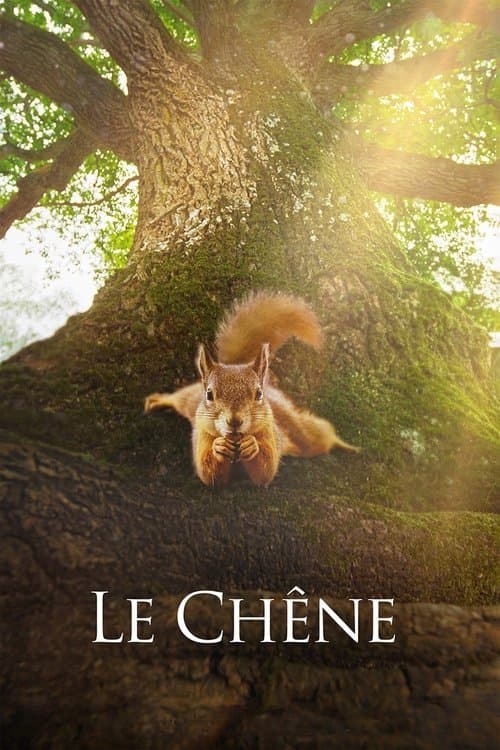 Plakat filmu: Le Chêne