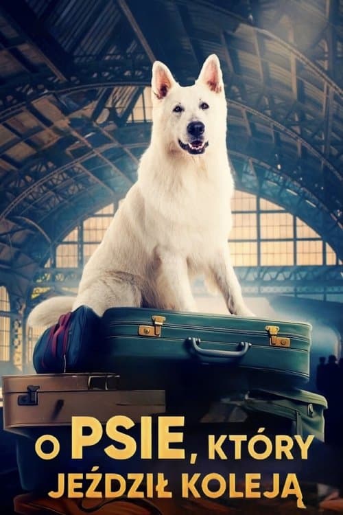 Plakat filmu: O psie, który jeździł koleją